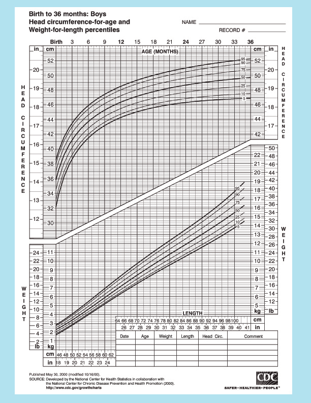 Baby Head Circumference Chart Inches