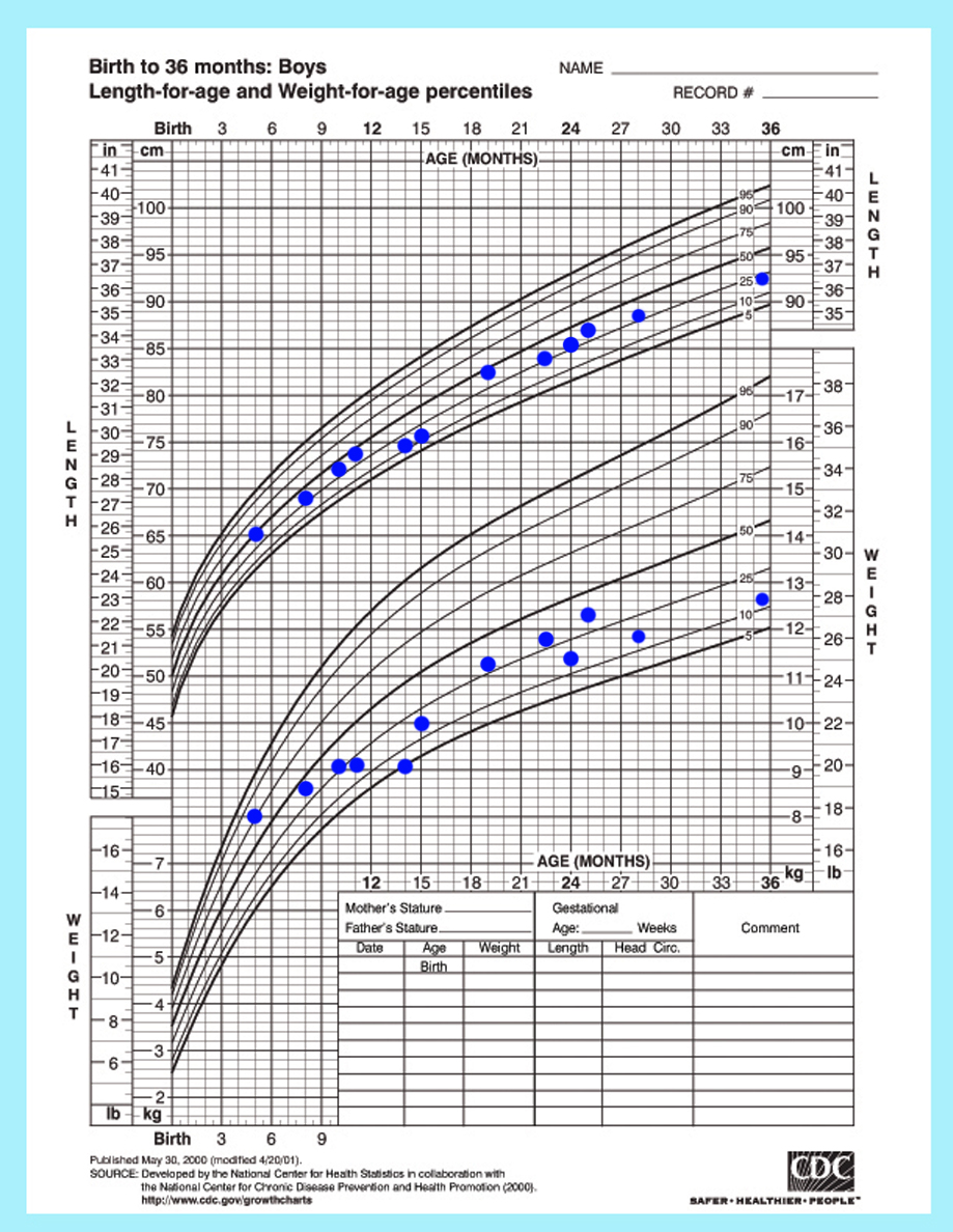 Maximo's height and weight plotted on a CDC chart.